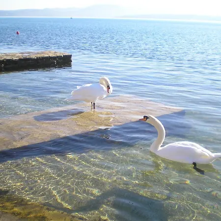 Πανσιόν Pansion Adria Haus 3*