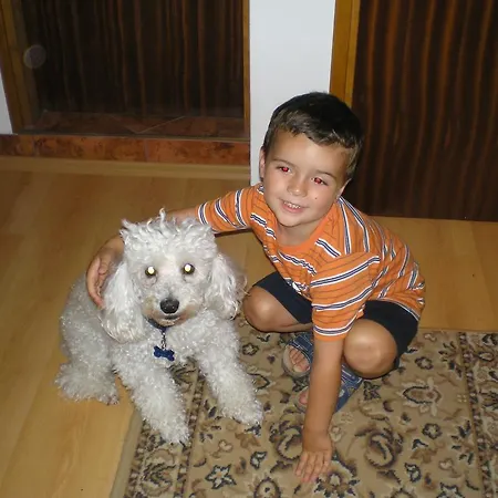 Pansion Adria Haus Posedarje