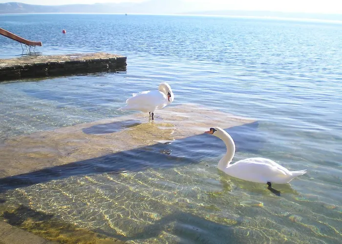 Гостевой дом Pansion Adria Haus 3*