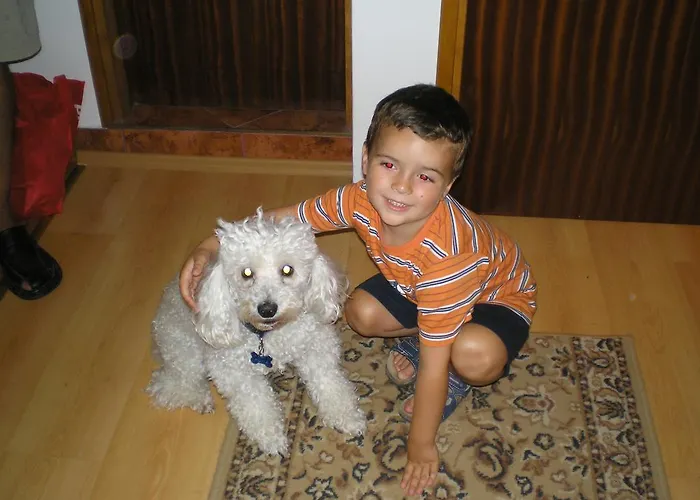 Pansion Adria Haus Поседарье